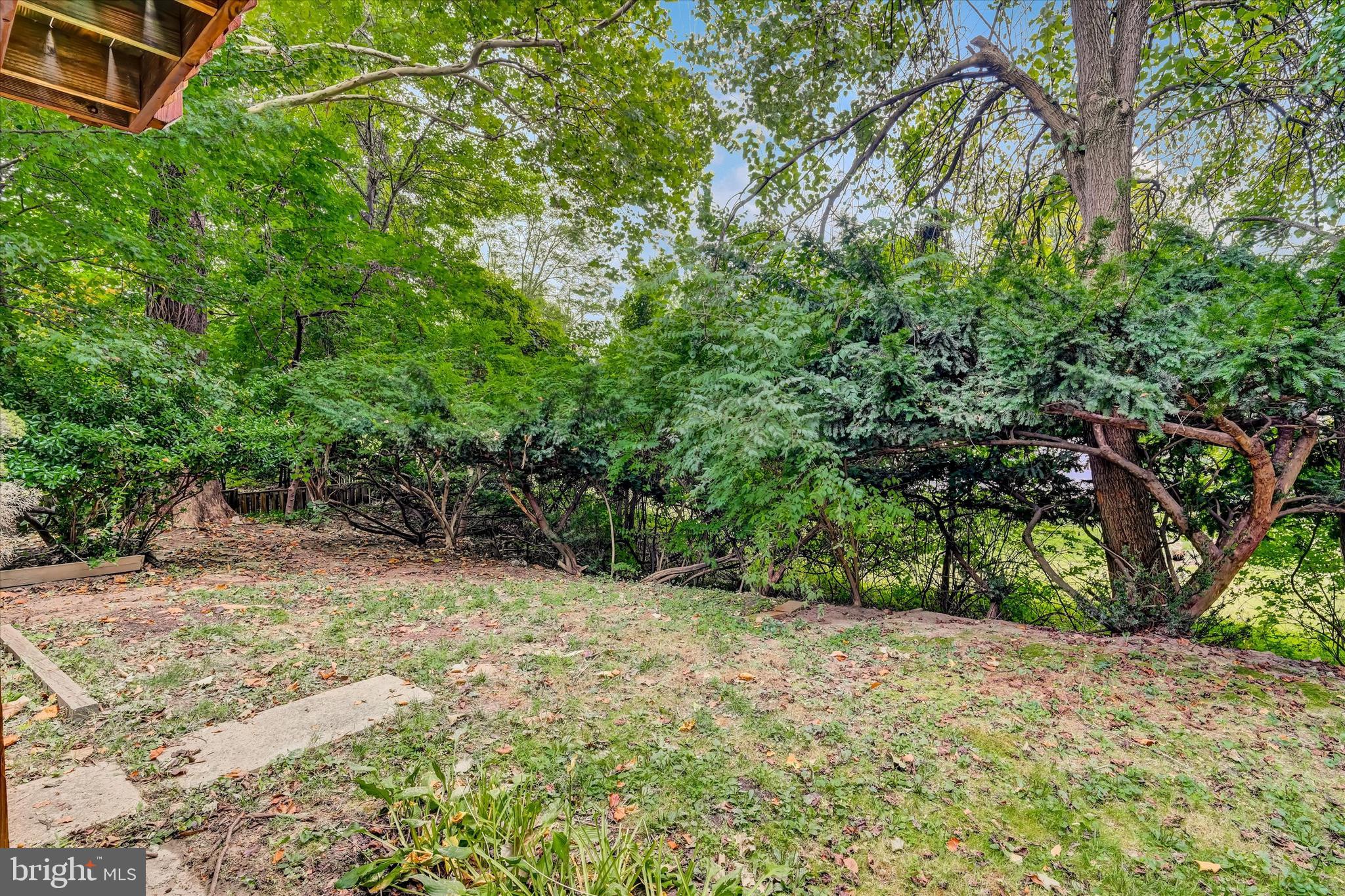 THE BIRCHES - Residential Lease