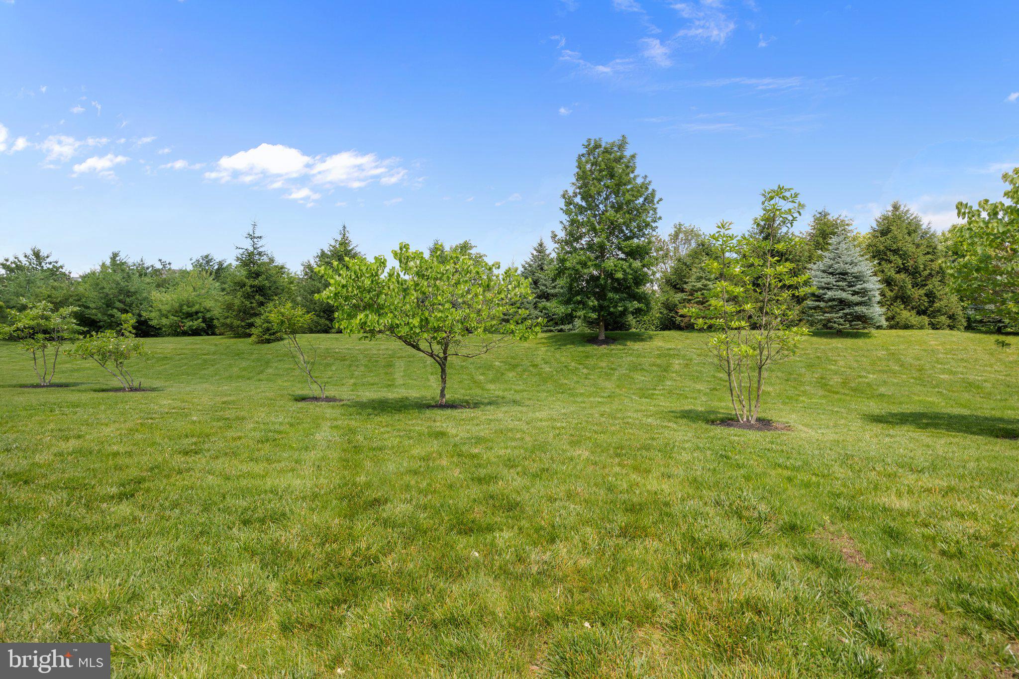 WALDEN SQUARE - Residential