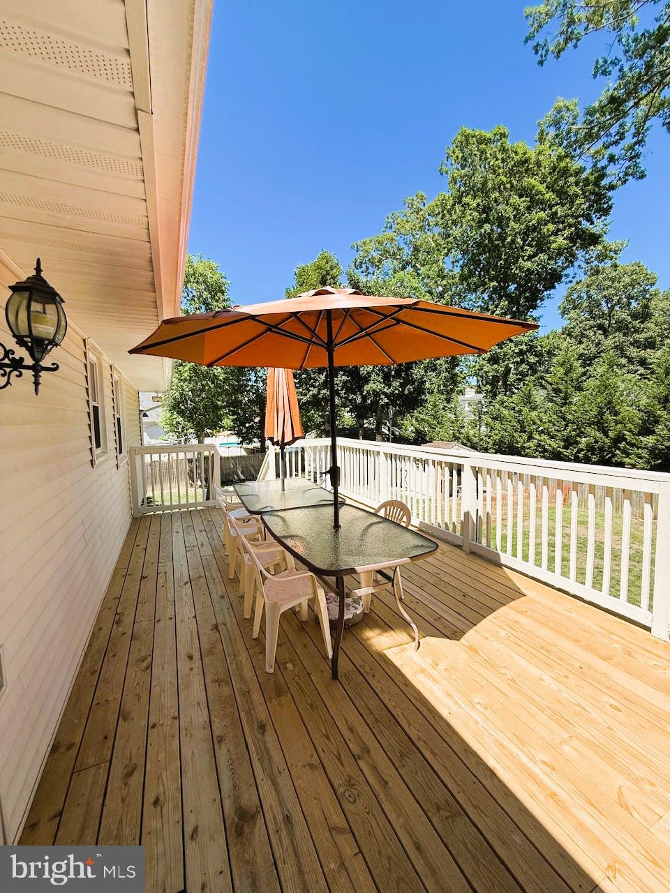 1629 DOLLY DRIVE