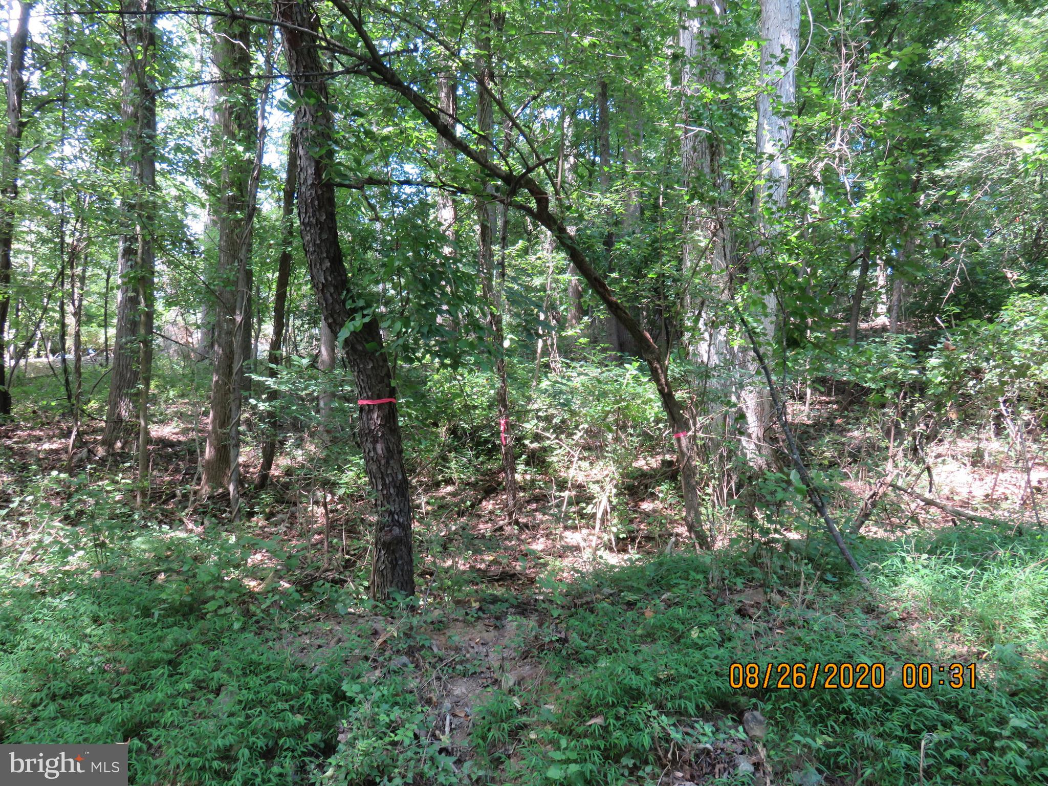 DEER HILL ESTATES - Land