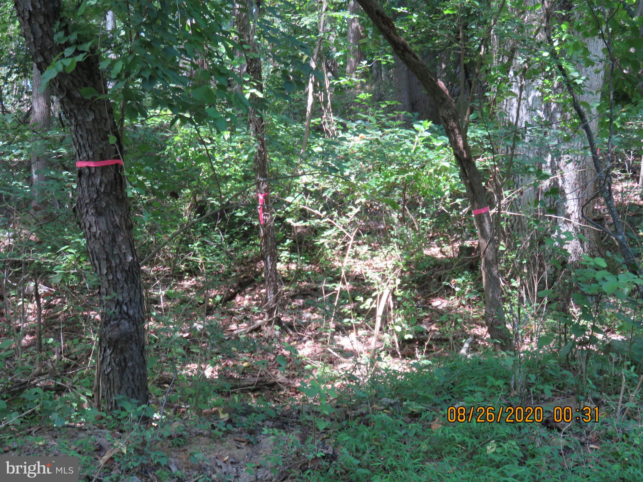 DEER HILL ESTATES - Land