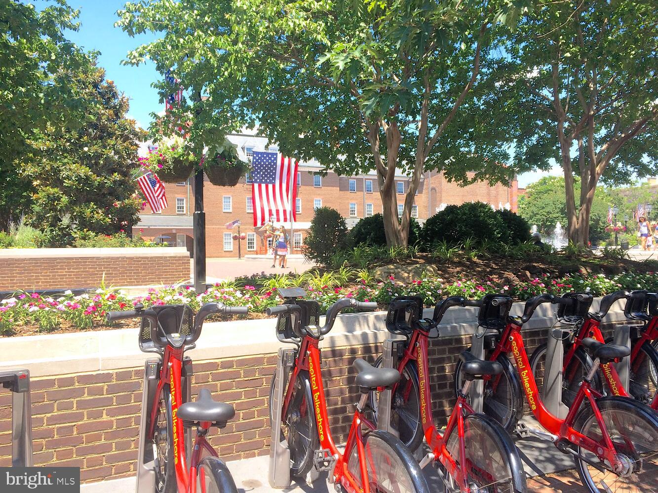 OLD TOWN ALEXANDRIA - Residential