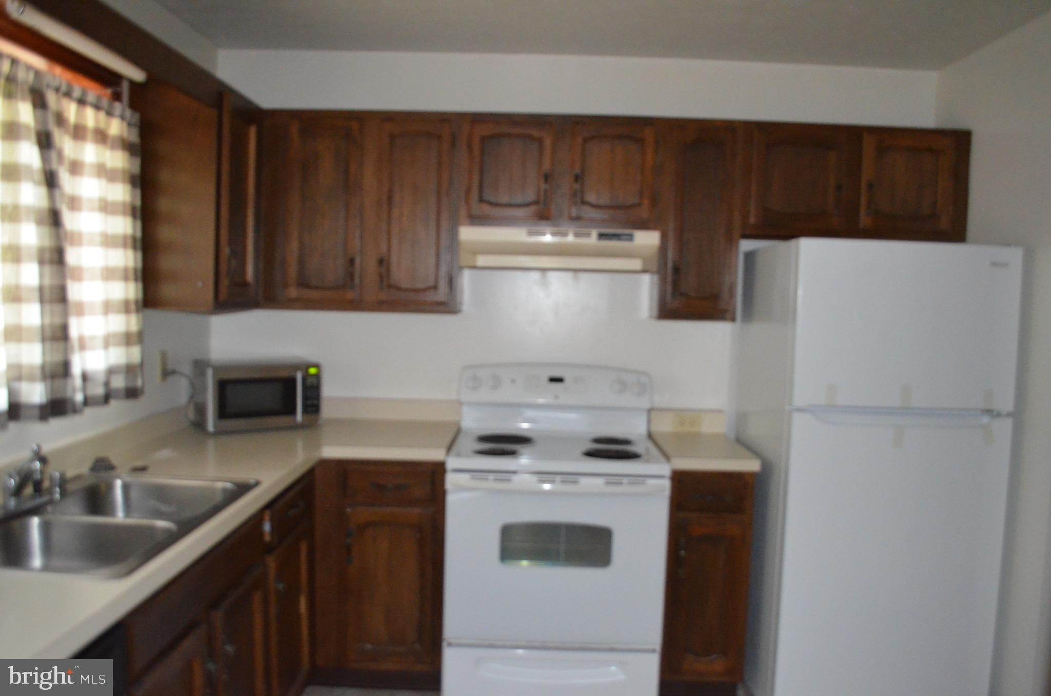 44670 SCARLET OAK