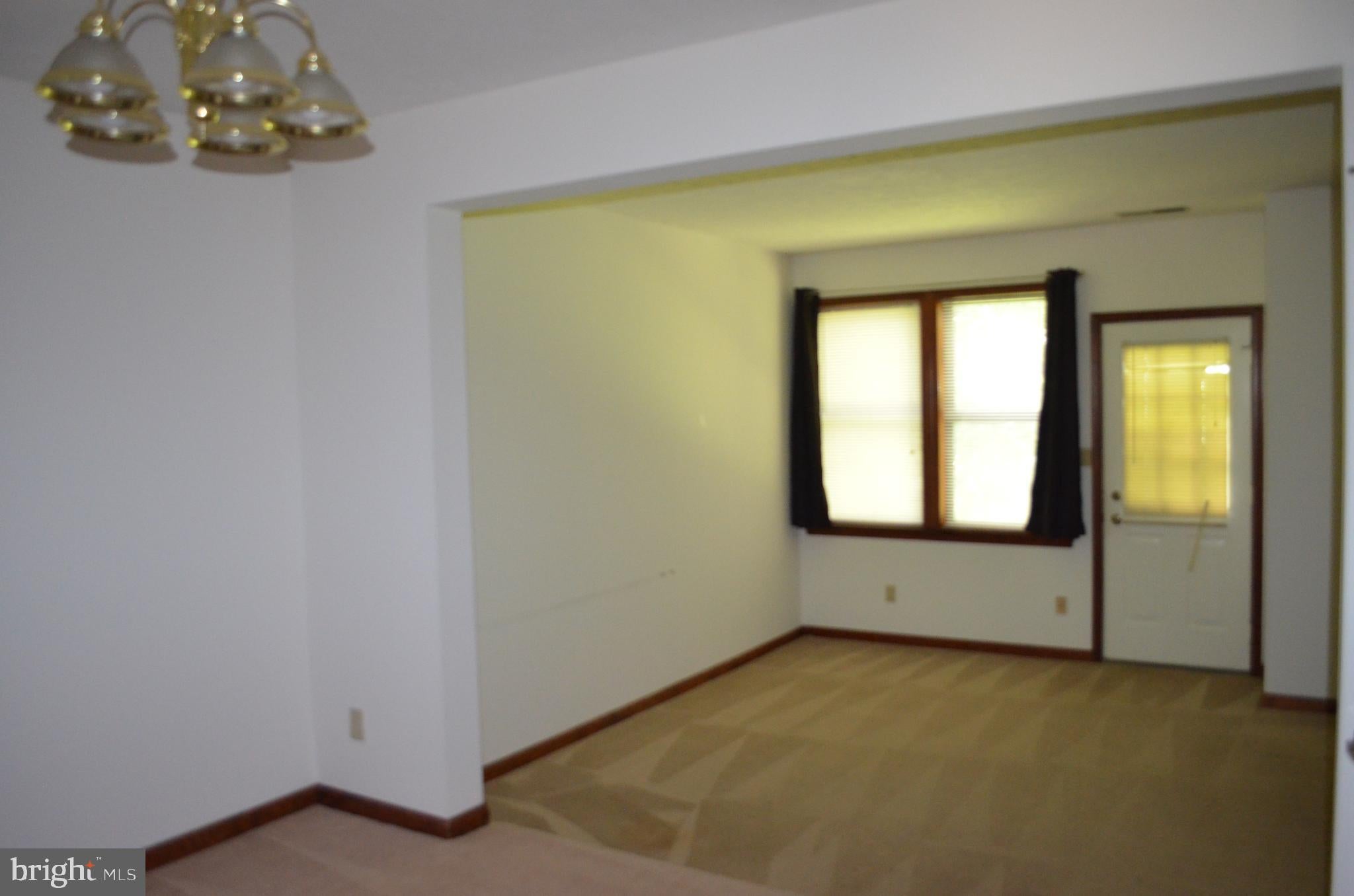 44670 SCARLET OAK