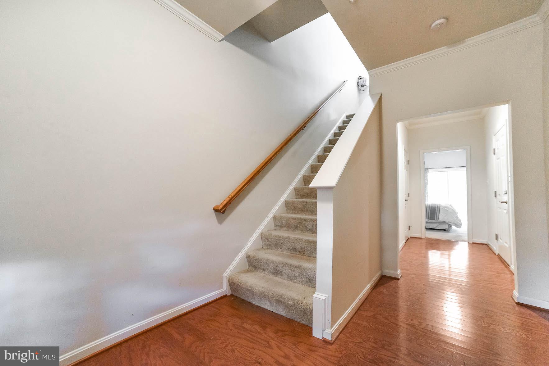 WILDEWOOD - Residential