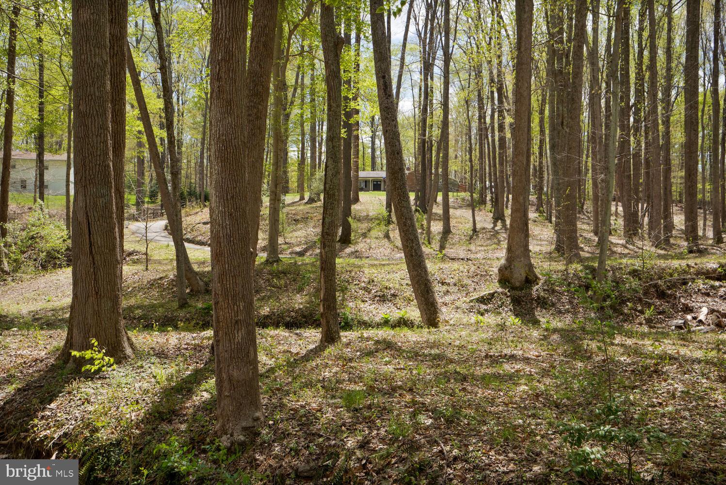 THE SINGING WOODS - Residential