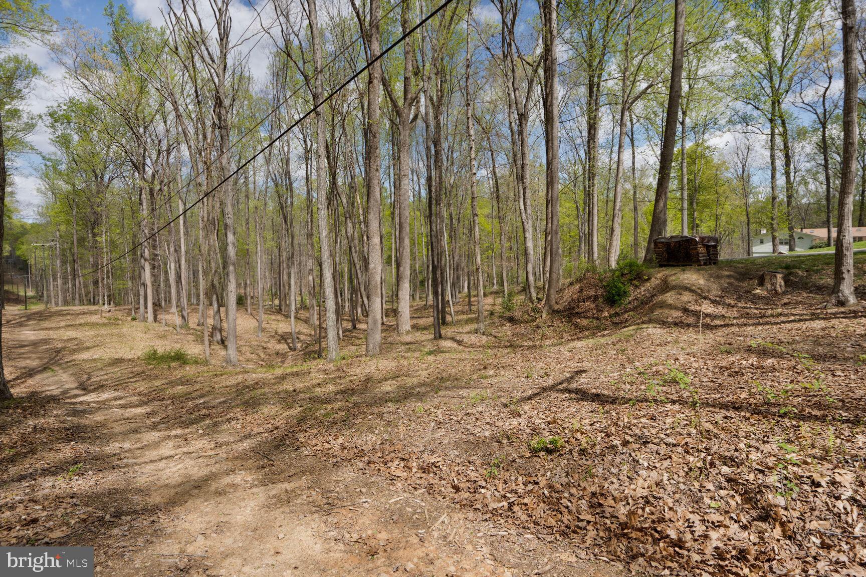 THE SINGING WOODS - Residential