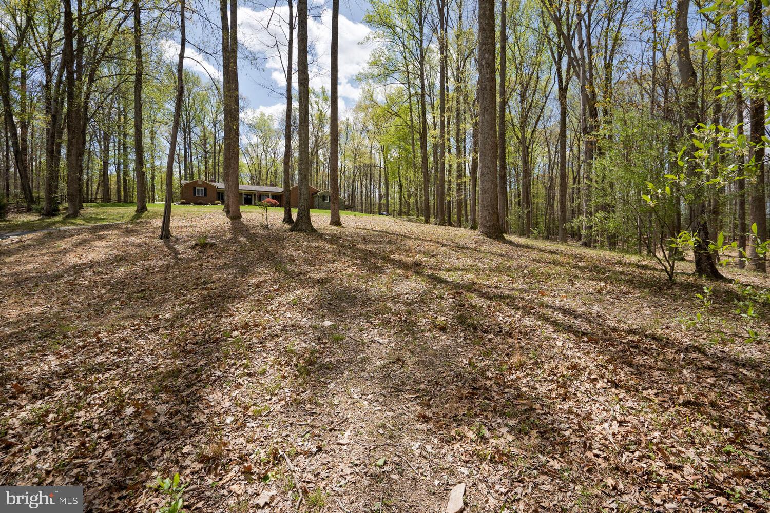 THE SINGING WOODS - Residential