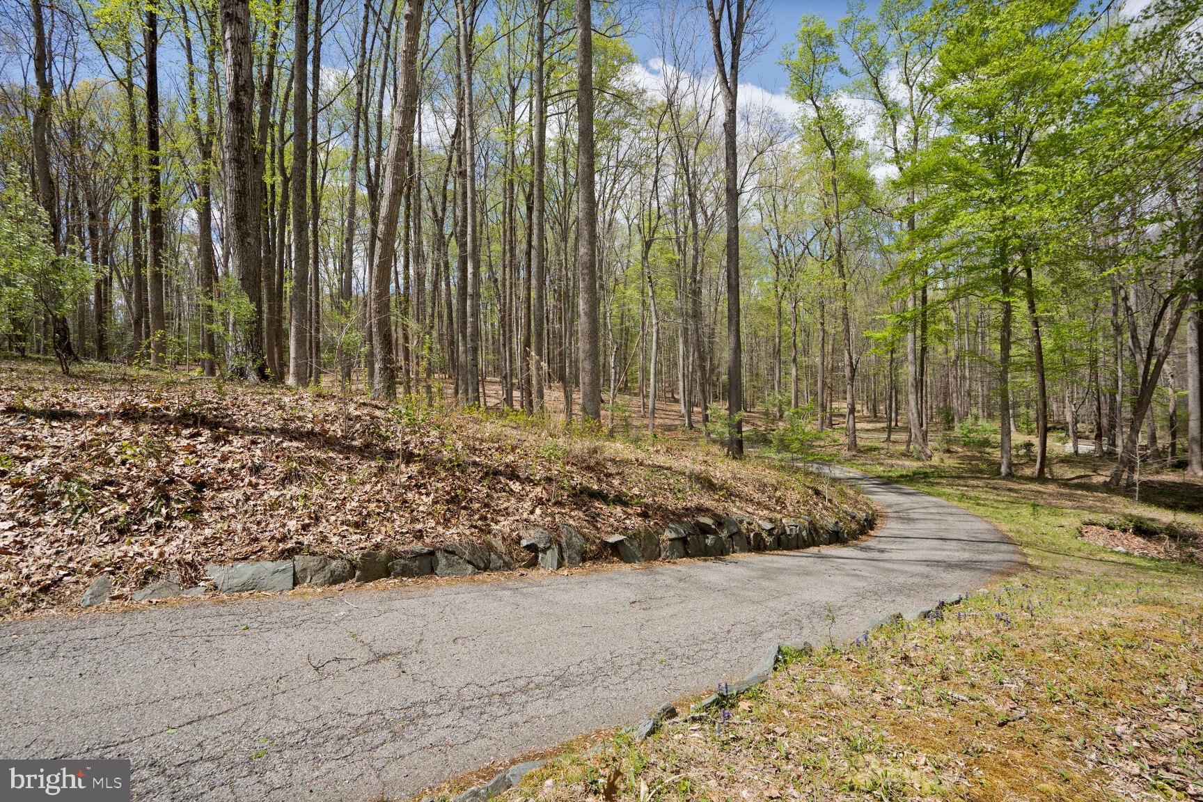 THE SINGING WOODS - Residential