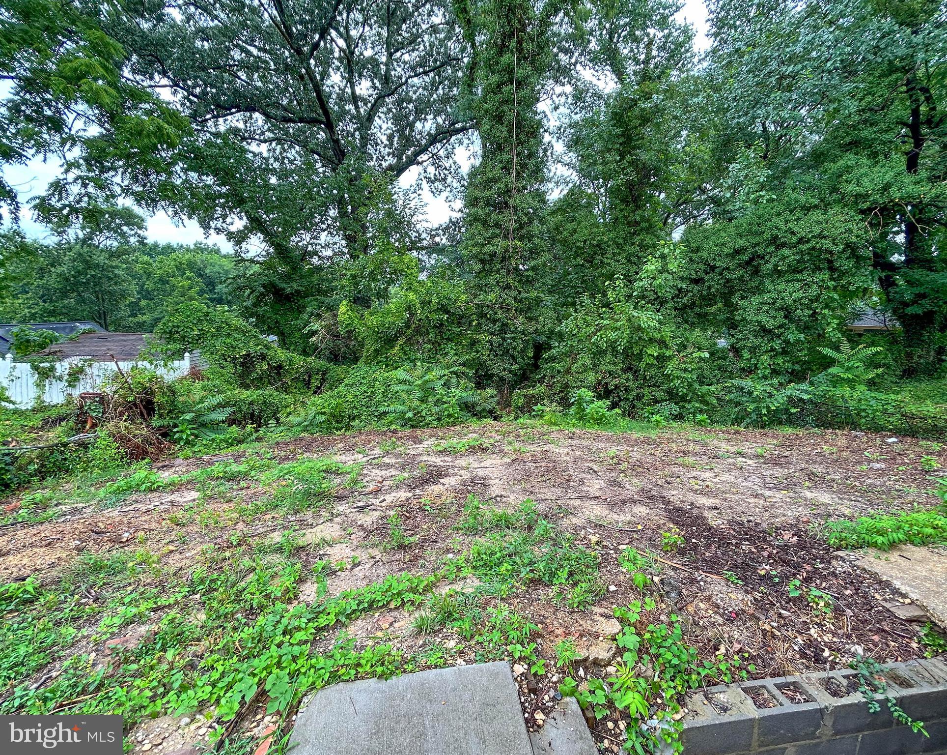 CAPITOL HEIGHTS - Residential