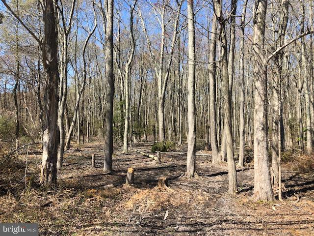 6118 SHADY SIDE ROAD