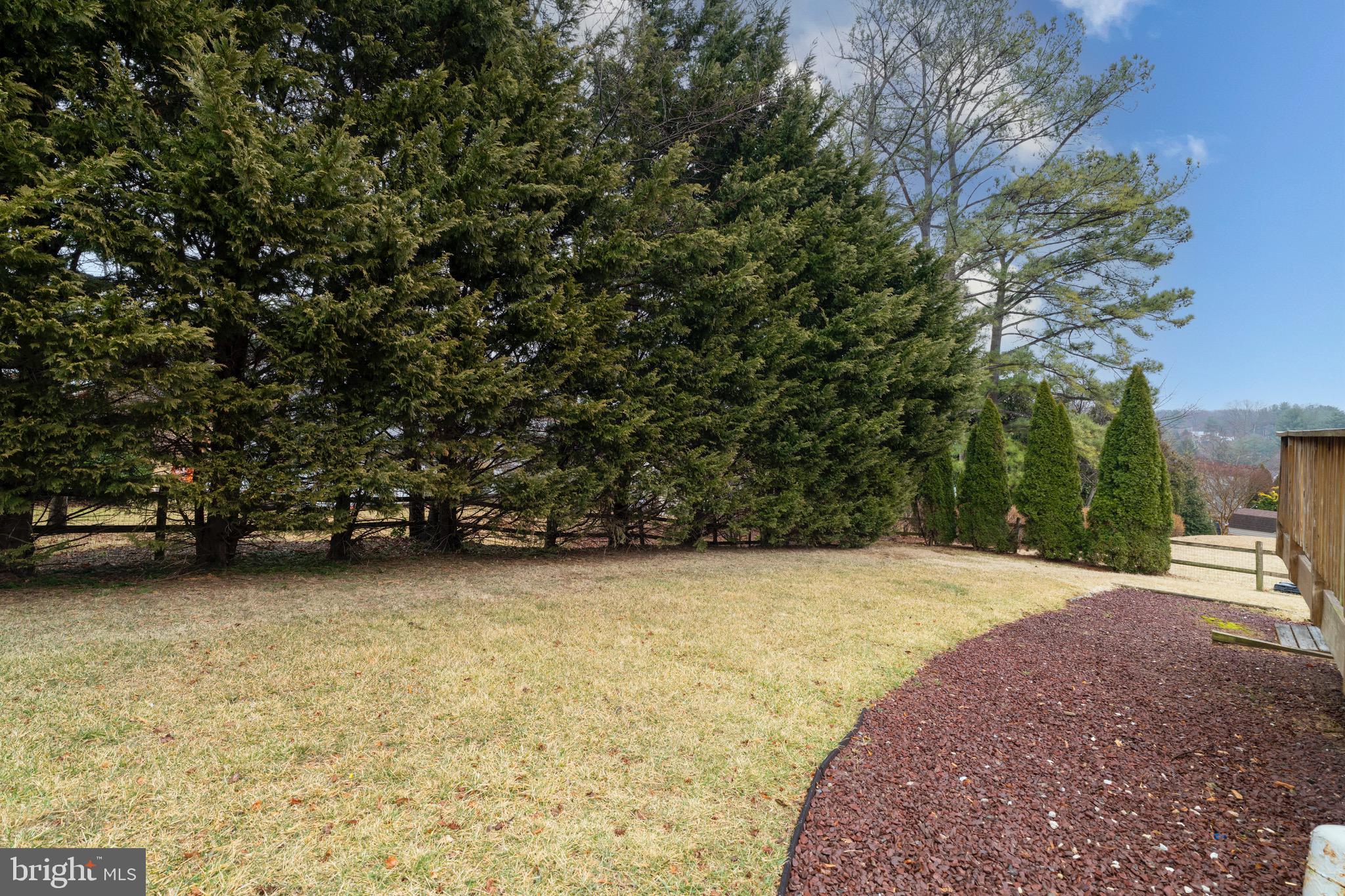 SPRINGDALE - Residential