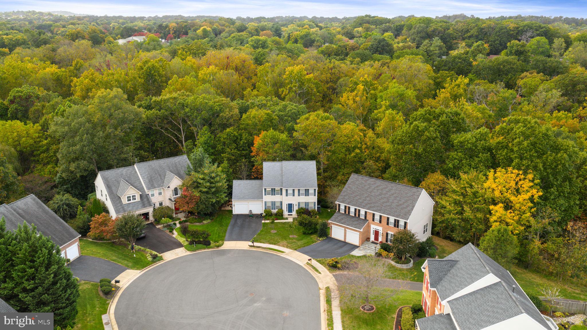 GREAT FALLS CHASE - Residential