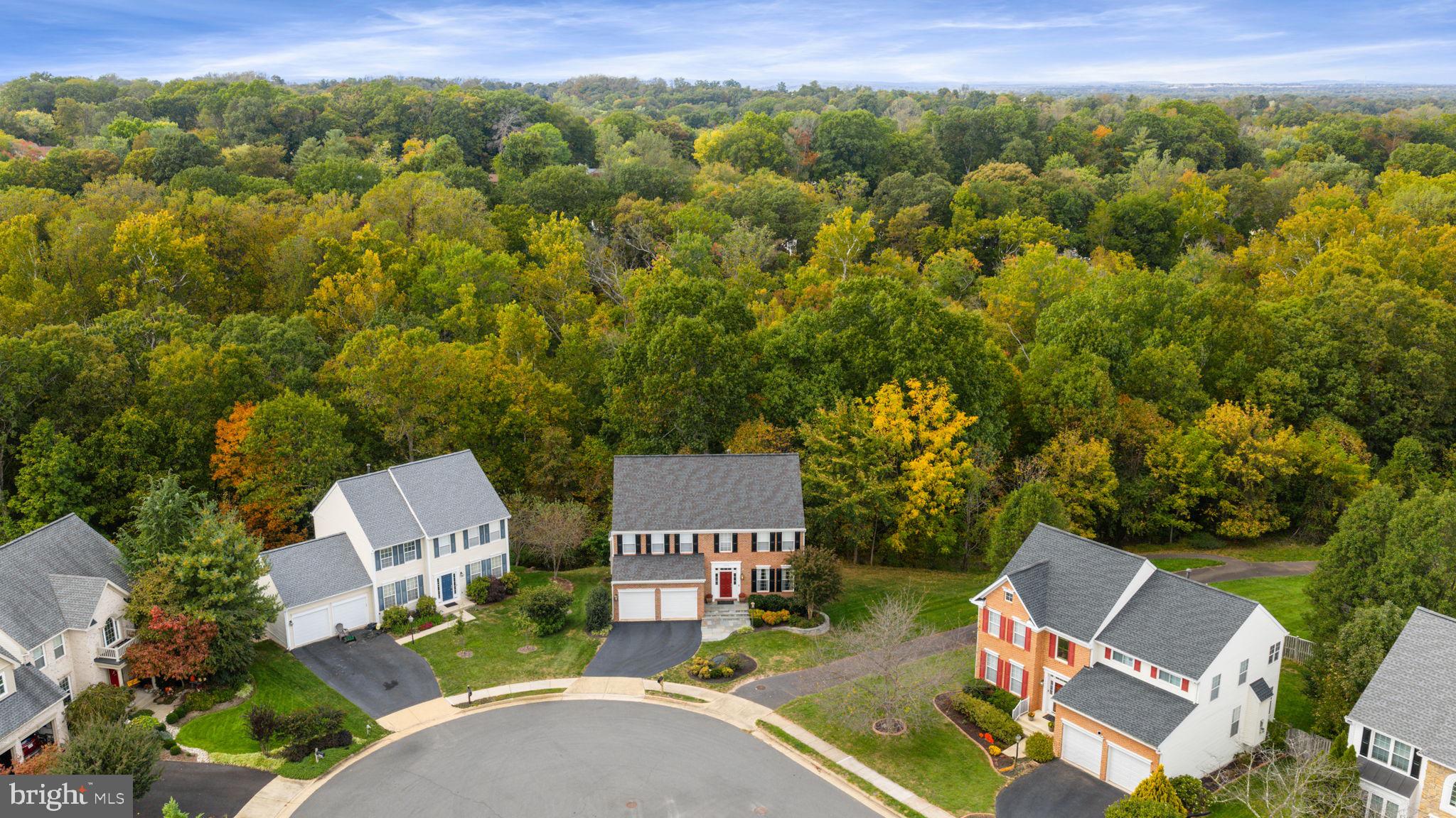 GREAT FALLS CHASE - Residential