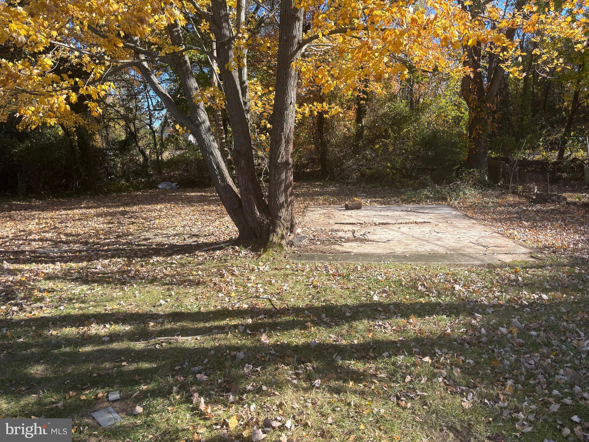 BONNIE BRAE MANOR - Residential