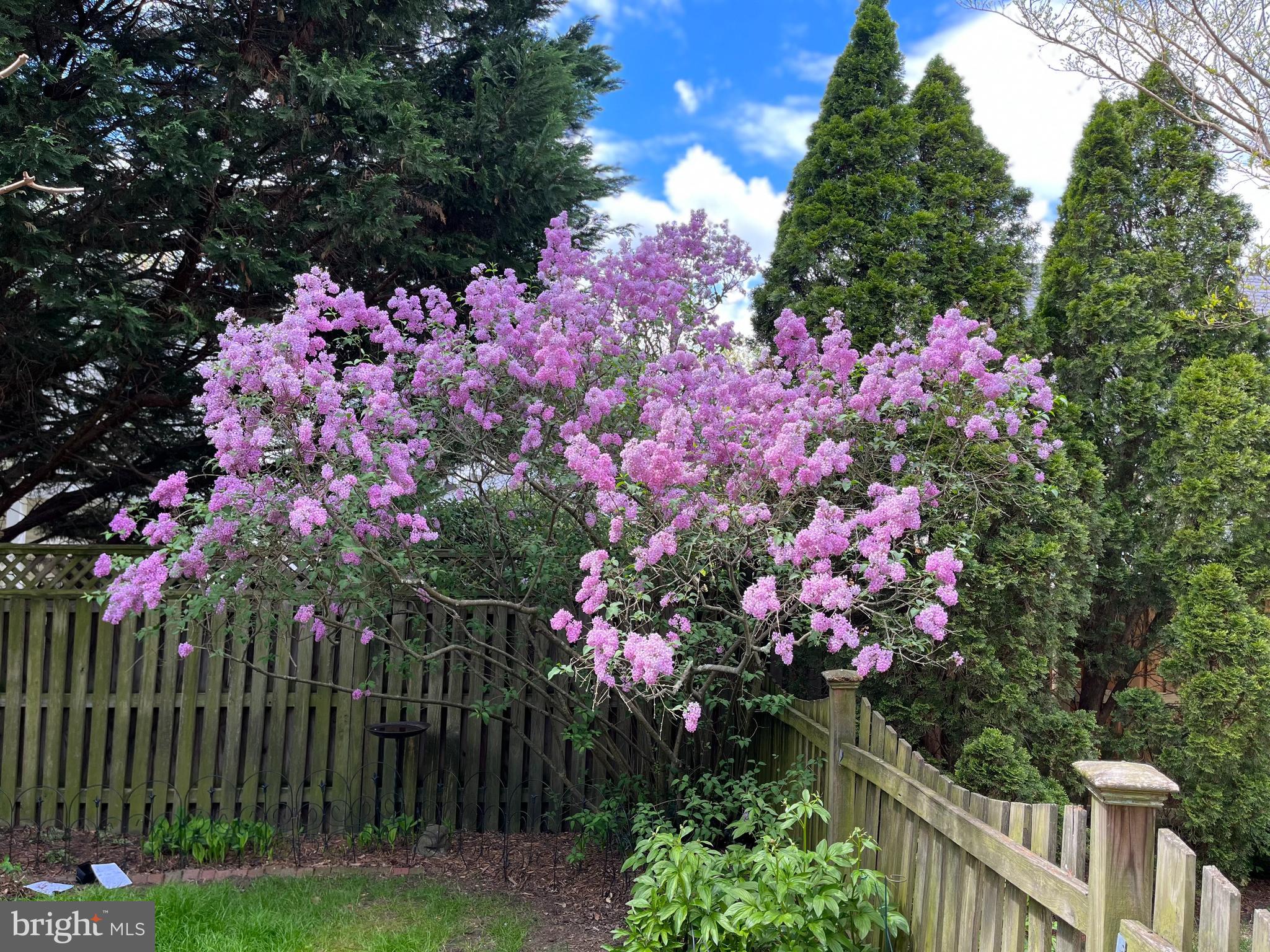 BROOKDALE - Residential