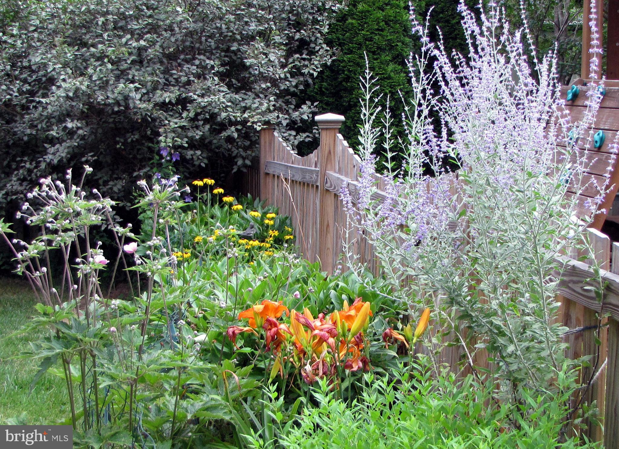 BROOKDALE - Residential