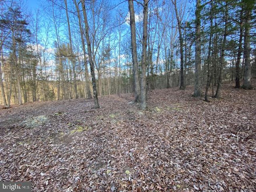 SLATE ROCK CROSSING, LOT 24: Near the end of the road, you will find this 2 1/3 acres that is fully wooded with an approved percolation test for a septic system, fiber optic and electric service available, and a solid, wide roadway. Just across the WV state line, approximately 95 miles from Washington DC, this area is a premier destination. Fish in the numerous trout stocked streams, rivers, and lakes, hike the George Washington National Forest, canoe, windsurf, or row your boat in Warden Lake, Kimsey’s Run Lake or Rock Cliff Lake, find Lost River, and see the only natural body of water in the state, Trout Pond. Eat at the one of the counties many restaurants or find fresh vegetables at one of the farmer’s markets, take a day trip to the ski resorts, Cass Scenic Railroad, or Dolly Sods. West Virginia is rich in history that its many generations of folks would like to share with you. Come share the experience!