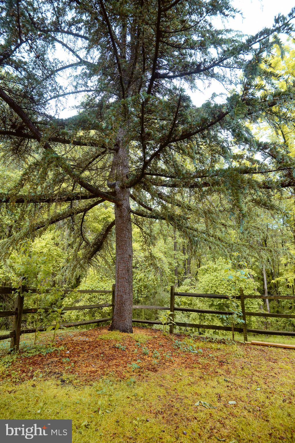 DORSEYS REGARD - Residential