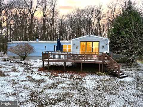 249 STATELINE DRIVE GRANTSVILLE MD 21536