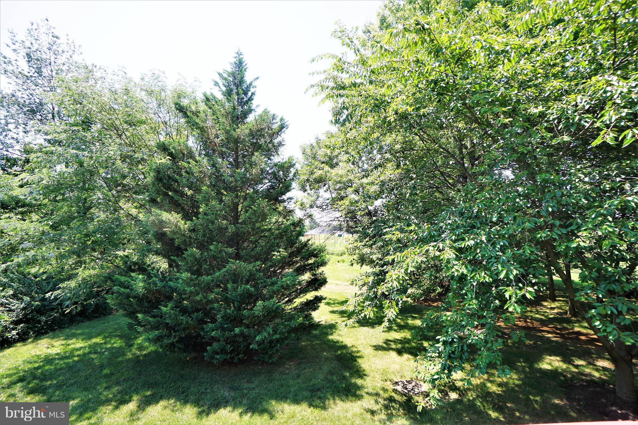 BALLENGER CROSSING - Residential