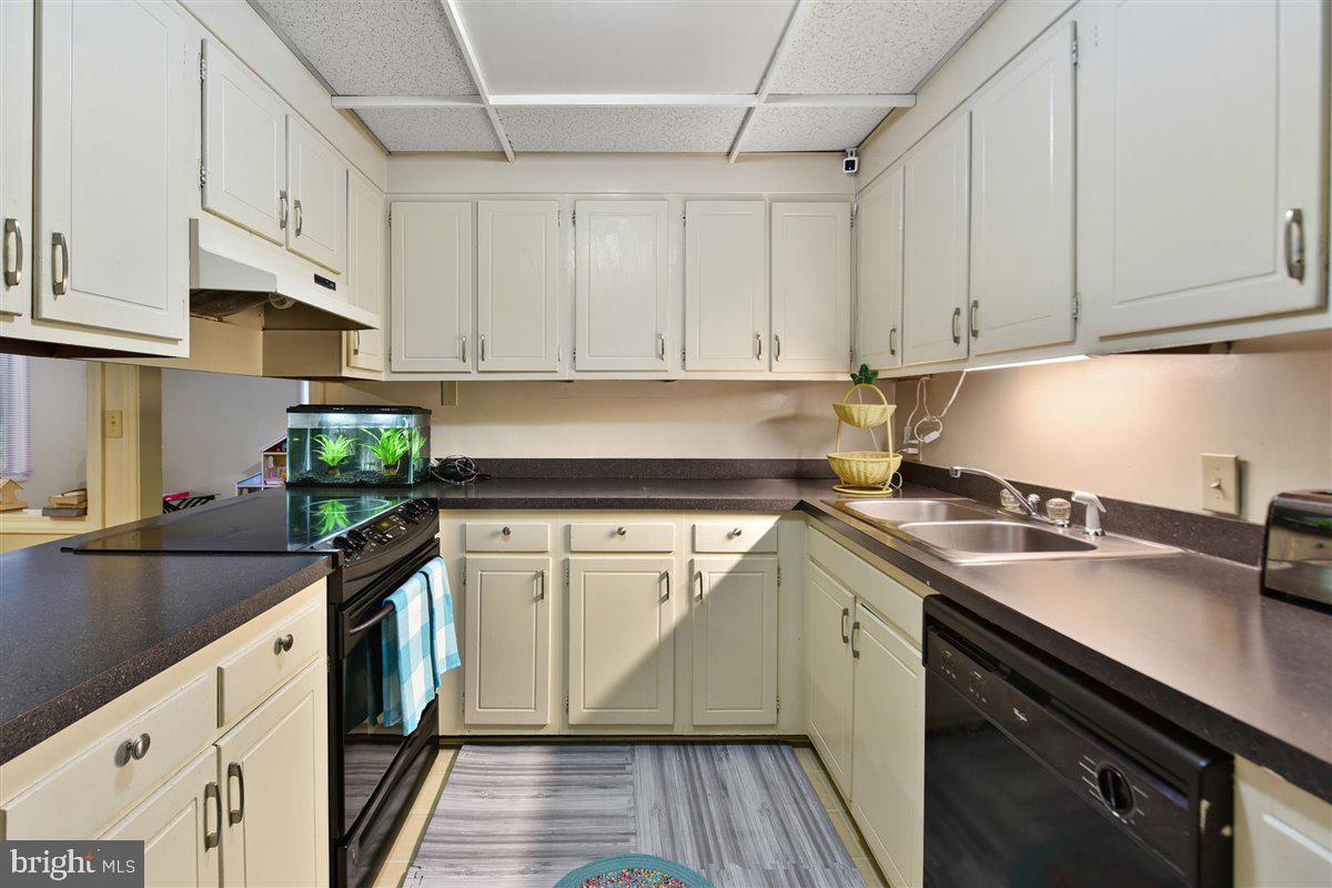 DRUID HILL - Residential