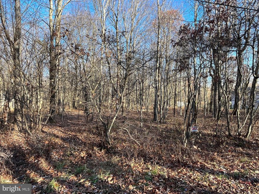 Nestled within the beautiful development of Penn Forest Streams, with super easy access to downtown Jim Thorpe, the Pocono area, I476, Philadelphia and NY, this lot has your name all over it! Per the township, property has never been perc  tested.  Use 25 Dilldown Drive  Jim Thorpe for GPS.
