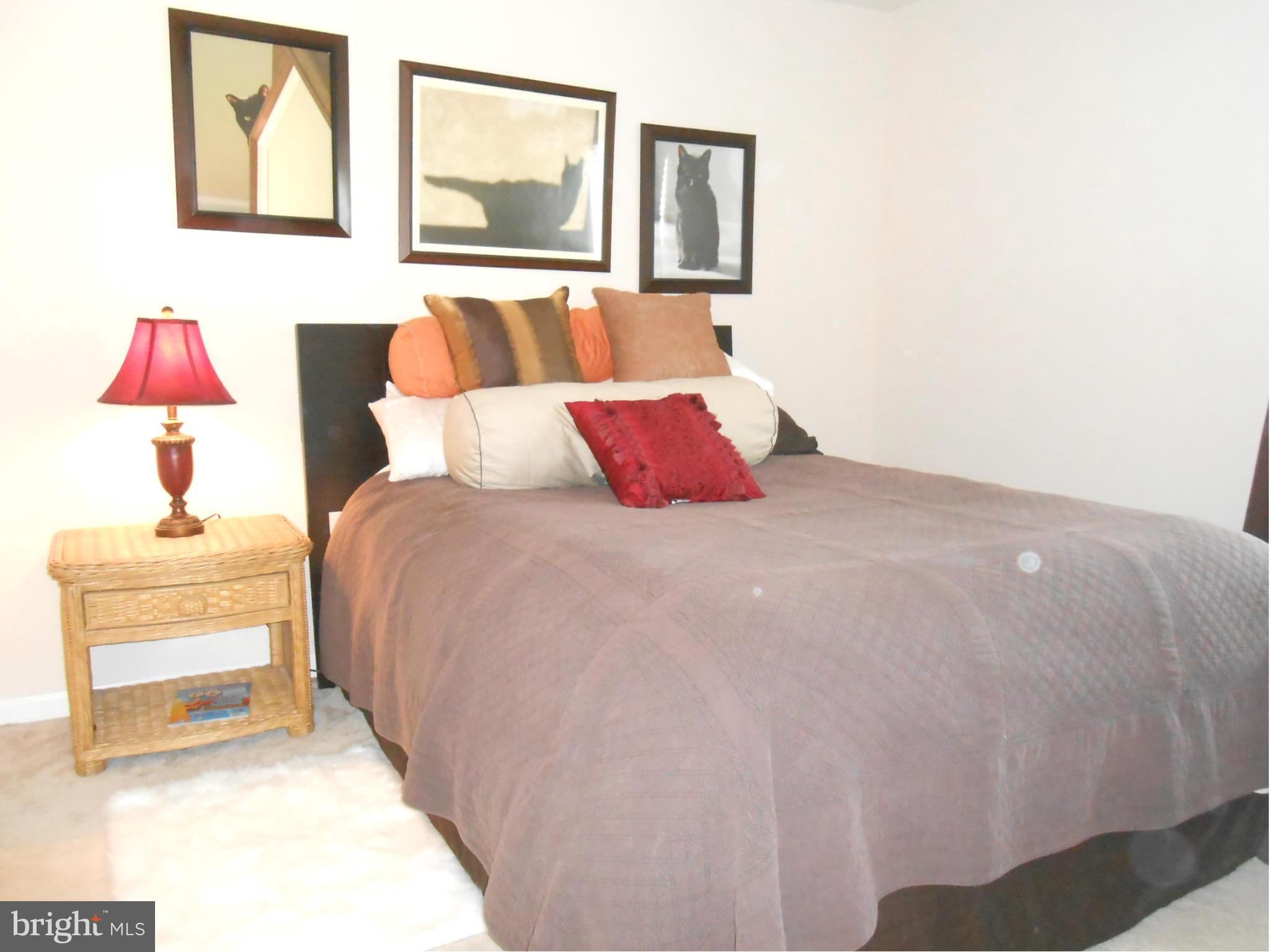 WATERBURY FOREST - Residential