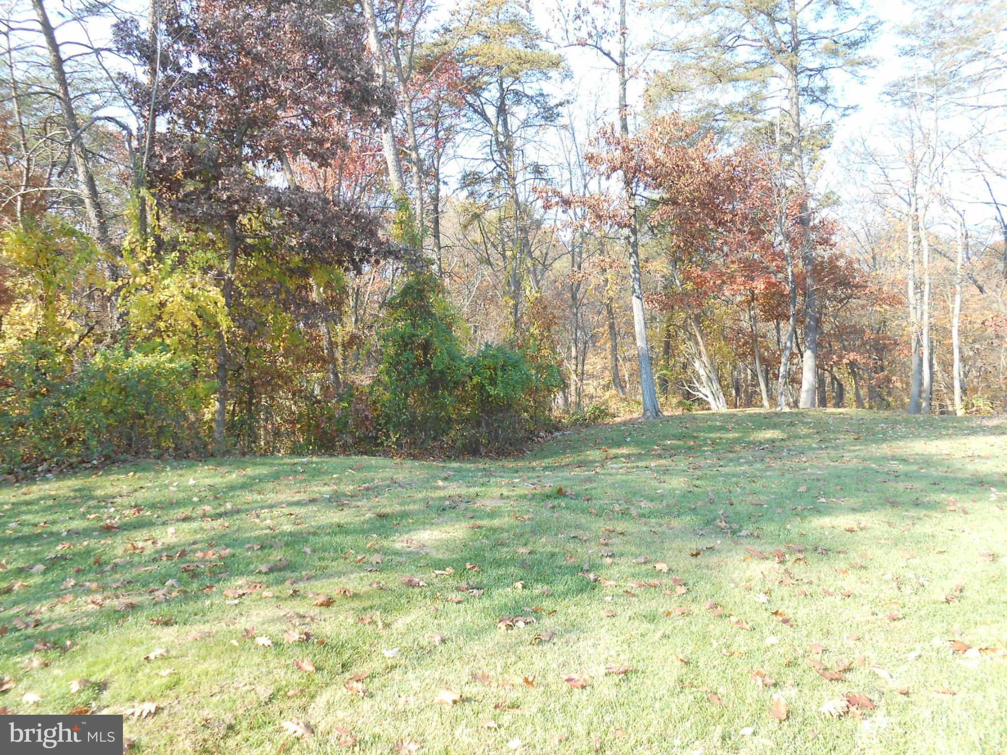 WATERBURY FOREST - Residential