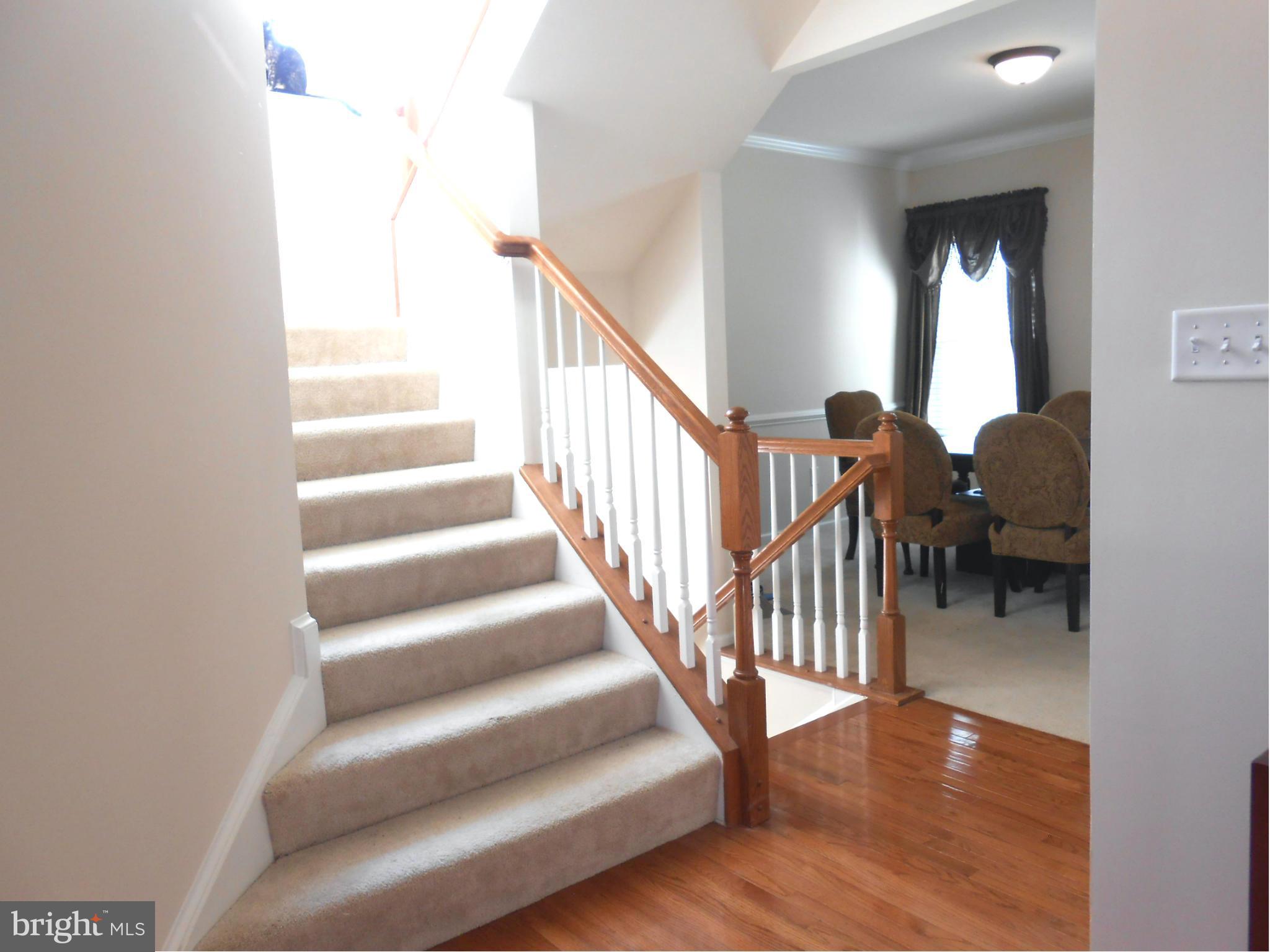 WATERBURY FOREST - Residential