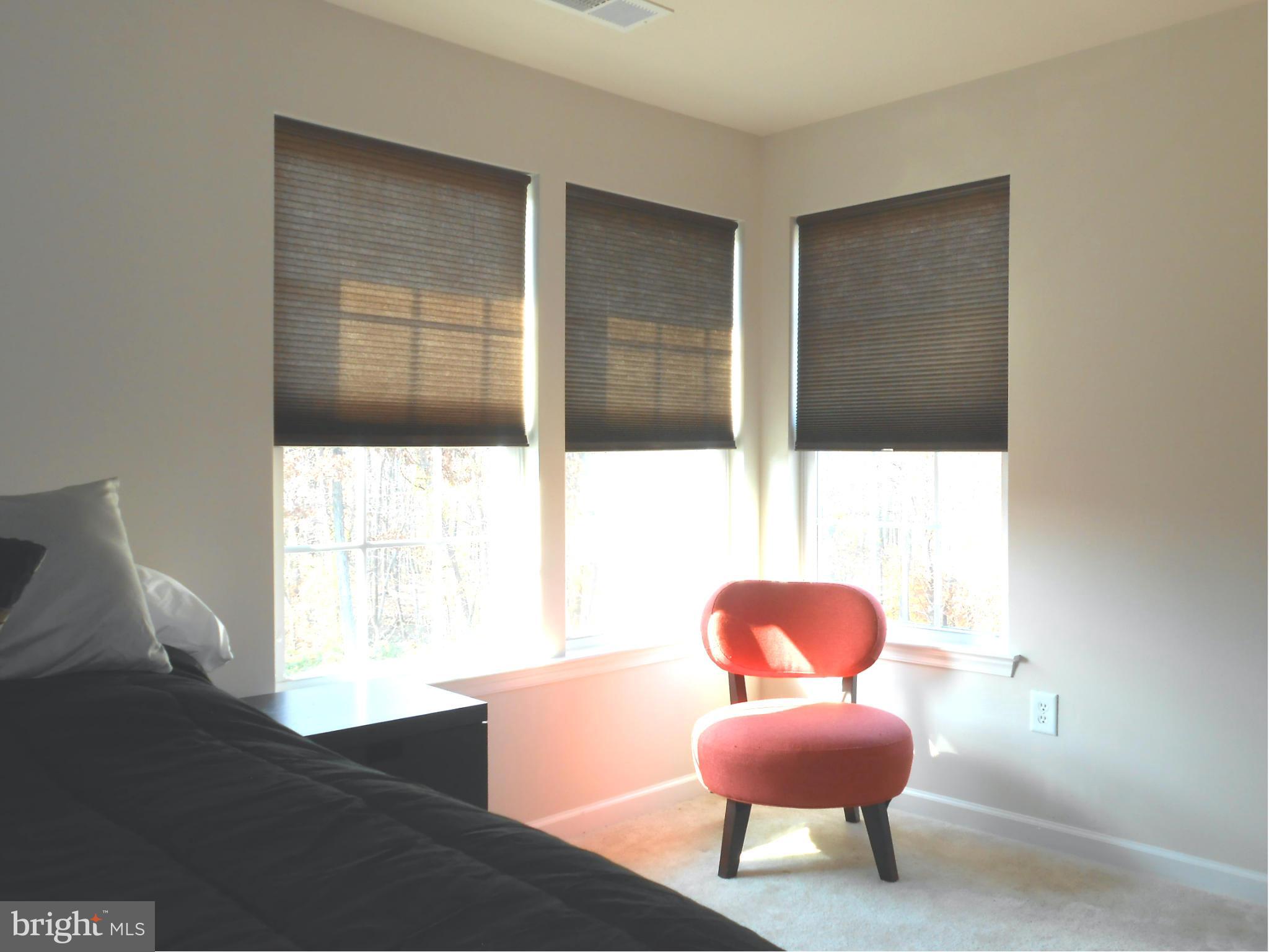 WATERBURY FOREST - Residential