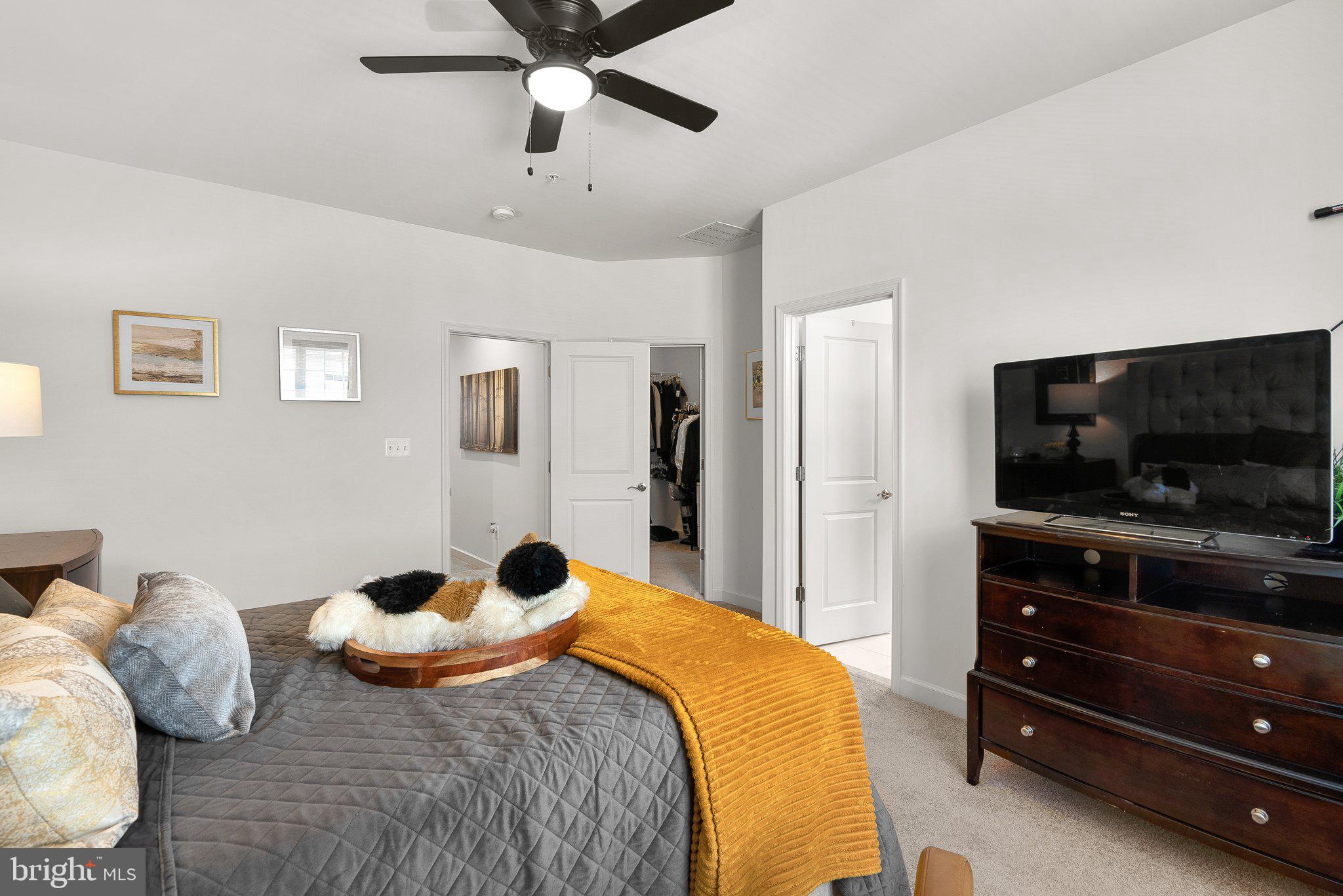 WOOD GLEN - Residential