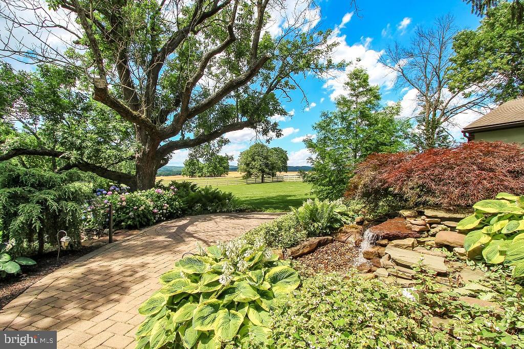 OWL VALLEY - Commercial Sale