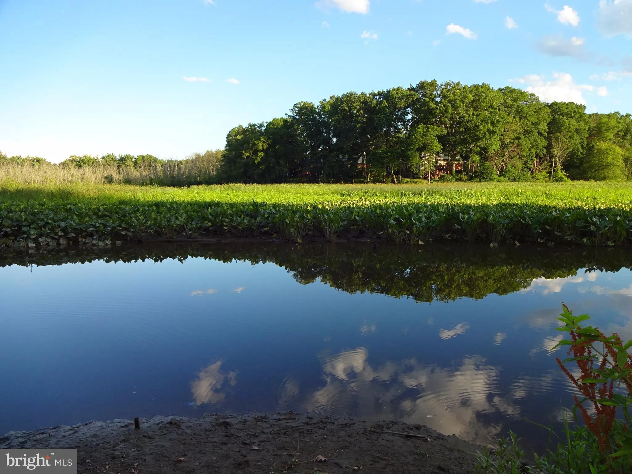 Additional image 2 of 2736 Carter Farm Court, Alexandria, VA 22306