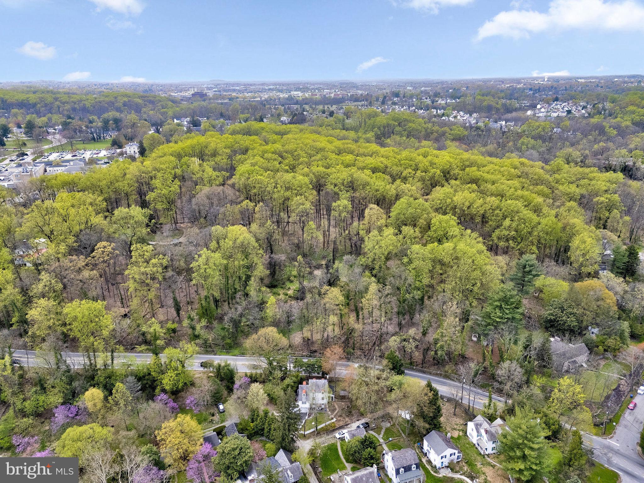 DICKEYVILLE HISTORIC DISTRICT - Residential