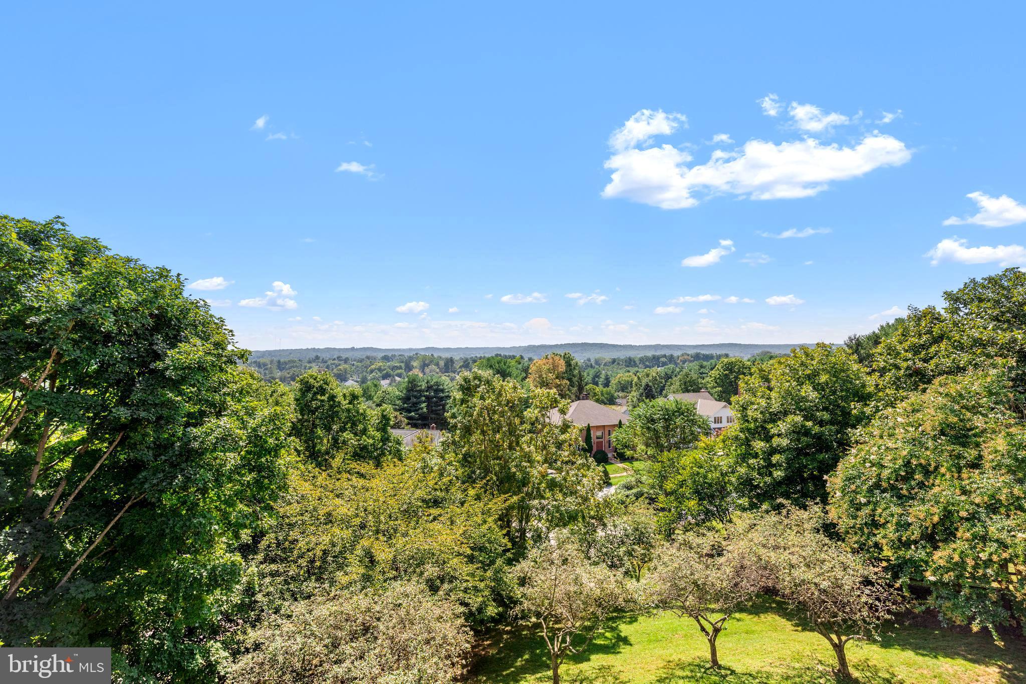 THE HILLSIDE AT SEMINARY - Residential