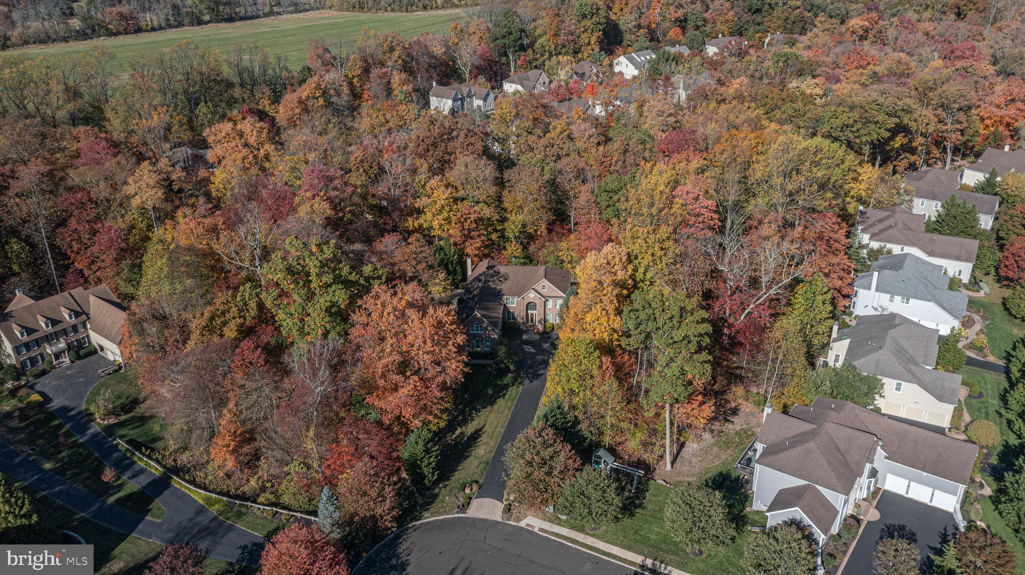 UPPER MOUNTAIN ESTS - Residential