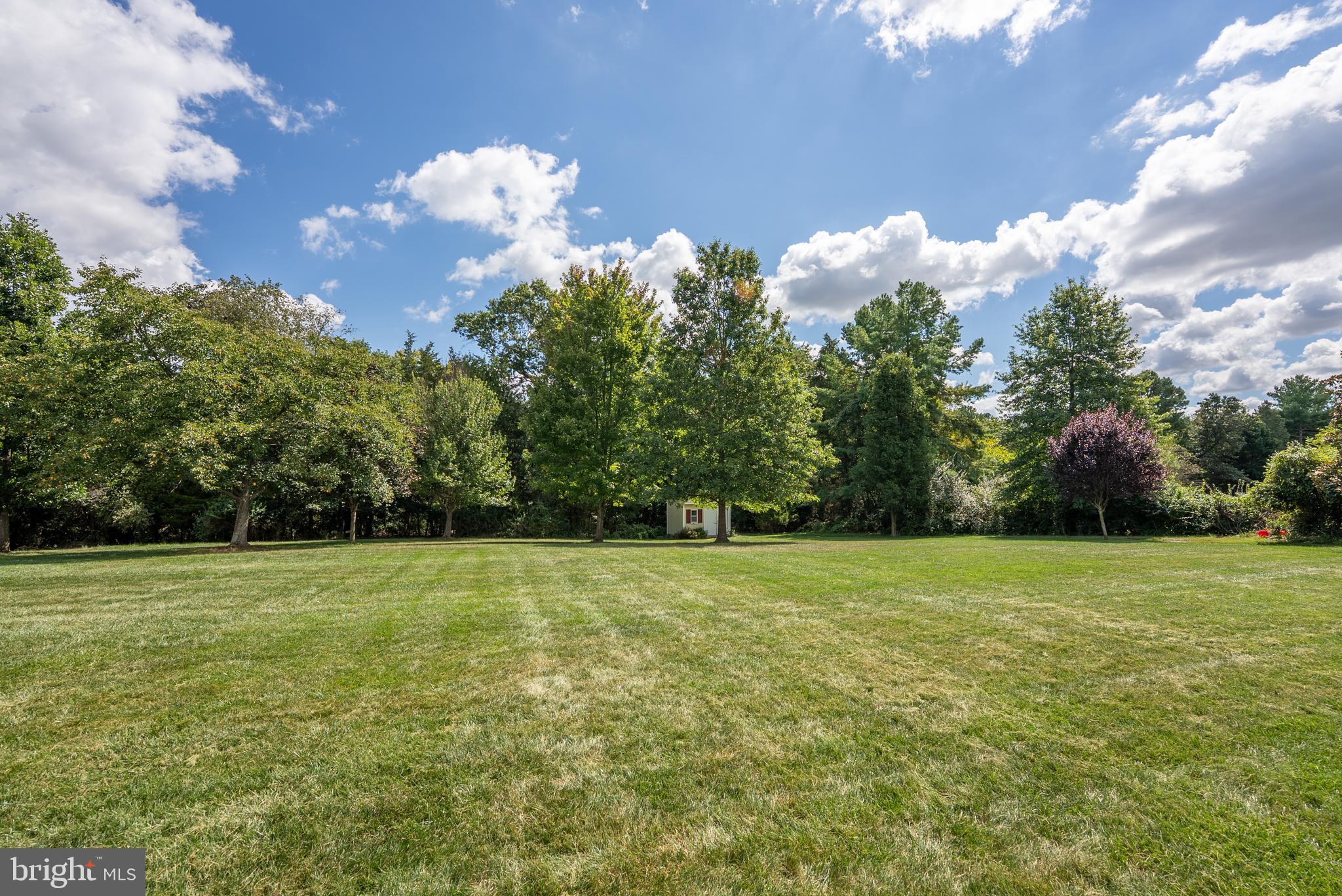 WILD MEADOW - Residential