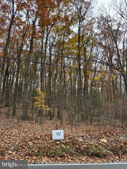LOT 4A SLEEPY HOLLOW ROAD