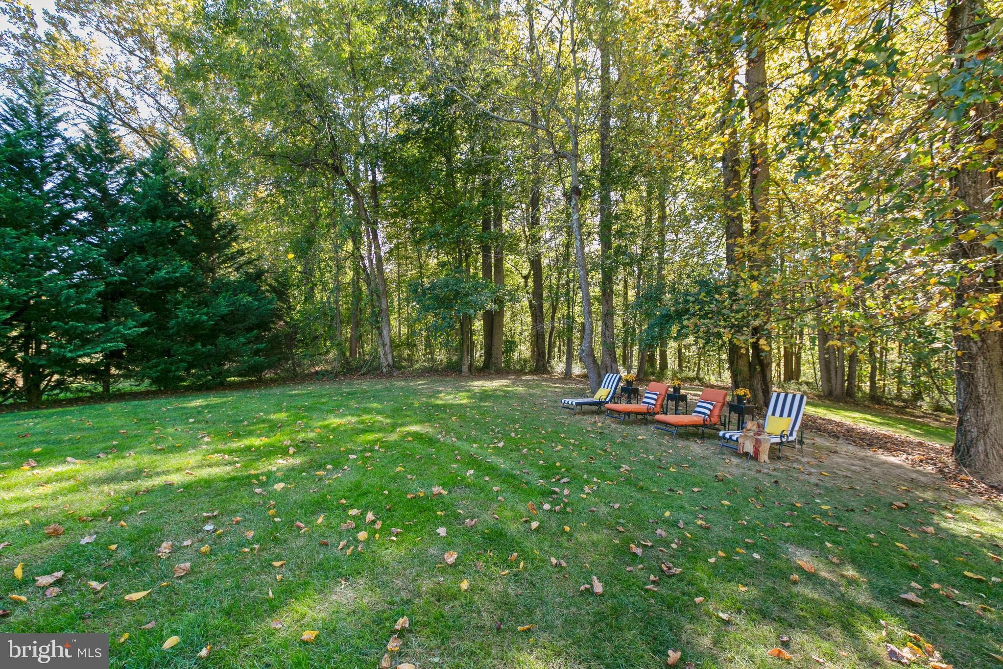 MARTIN MEADOWS - Residential