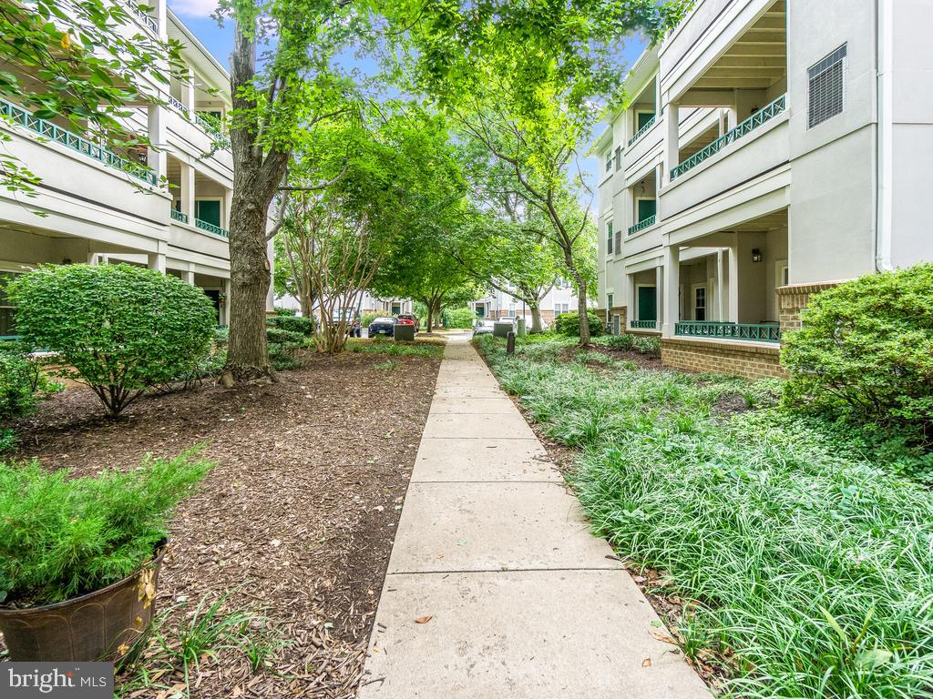 OAK PARK CONDO - Residential