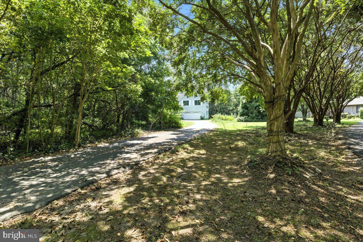48009 FREEHOLD DRIVE
