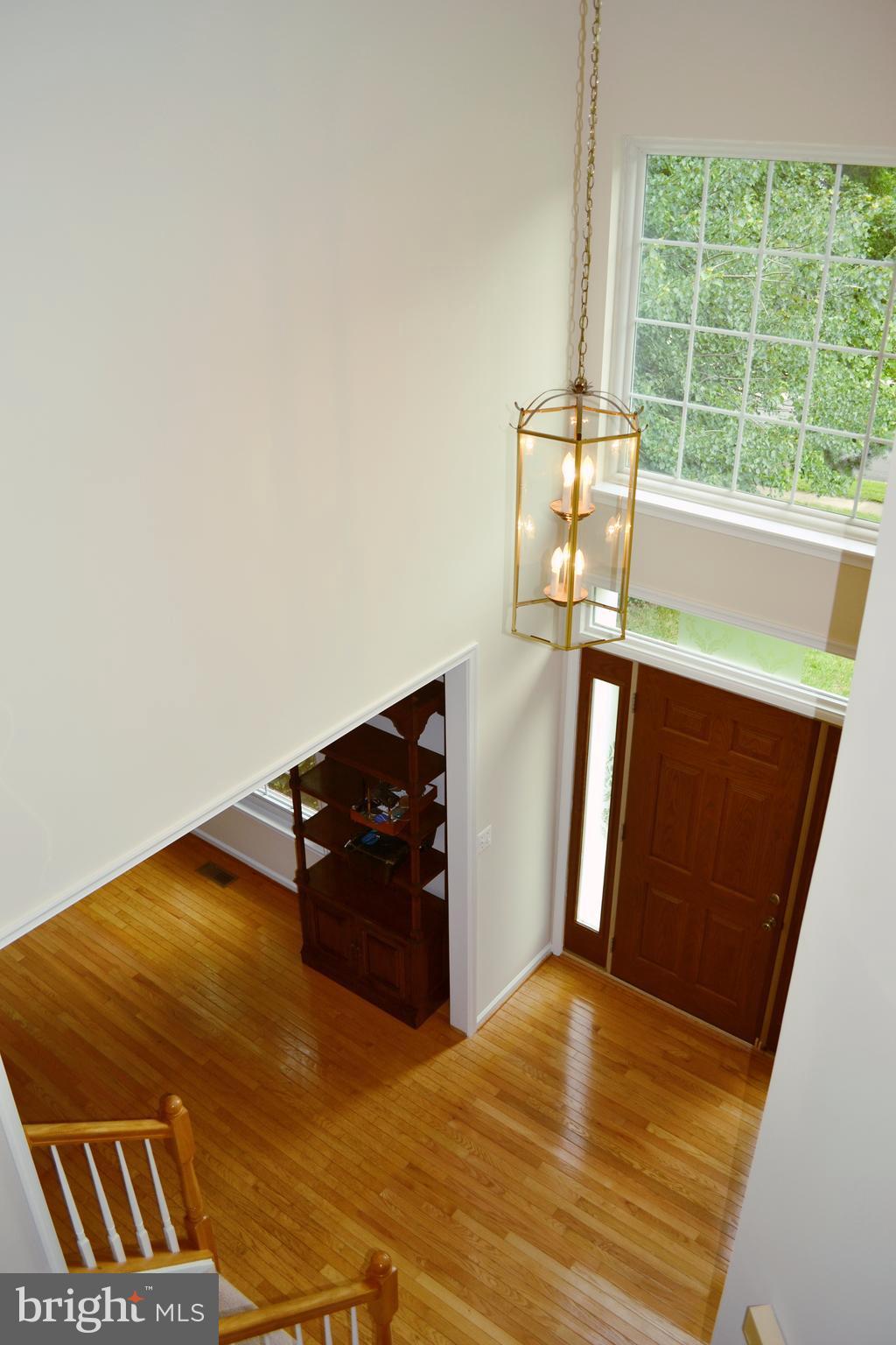 DISNEY ESTATES - Residential