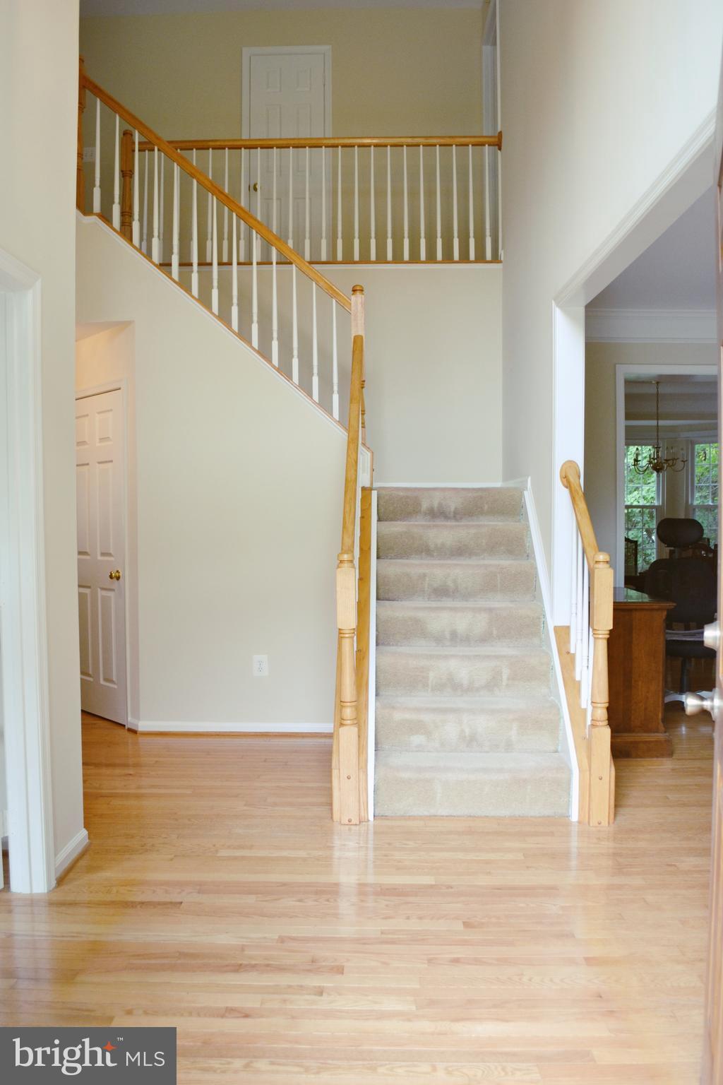 DISNEY ESTATES - Residential