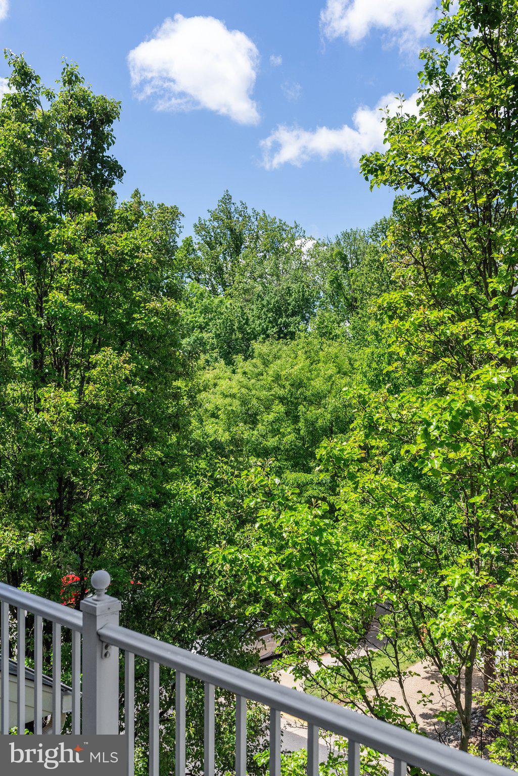 EAST MARKET - Residential