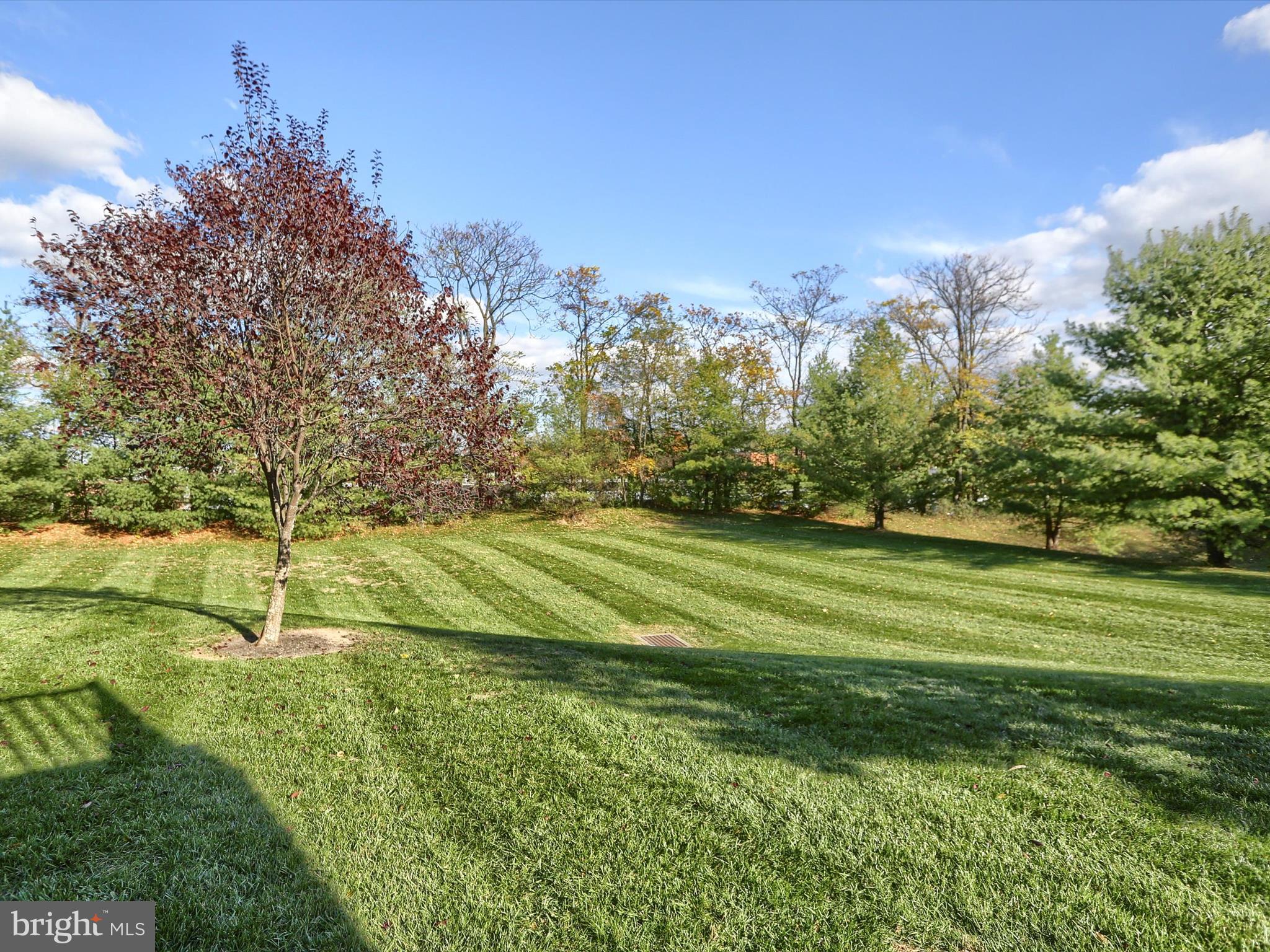 THE ENCLAVE - Residential