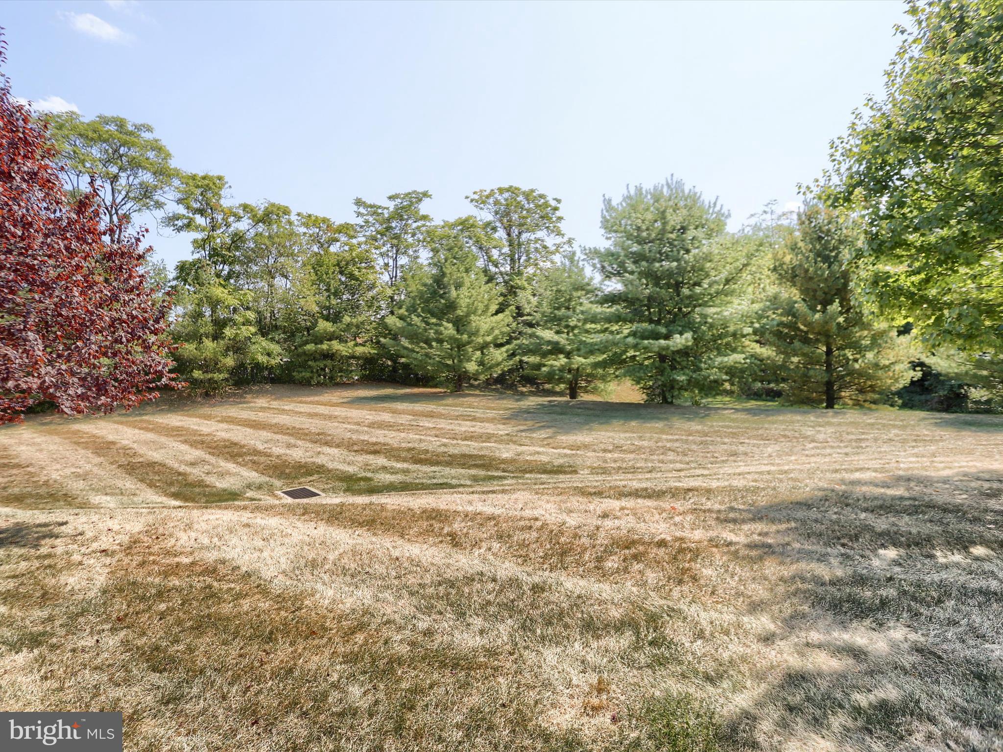 THE ENCLAVE - Residential