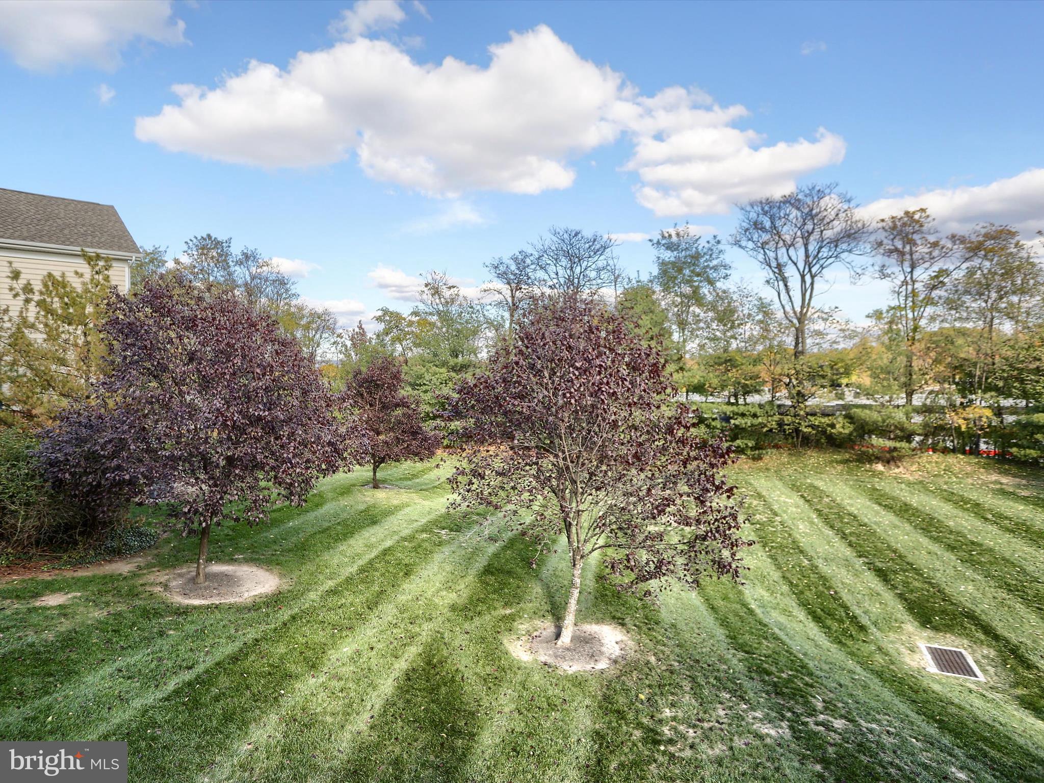 THE ENCLAVE - Residential