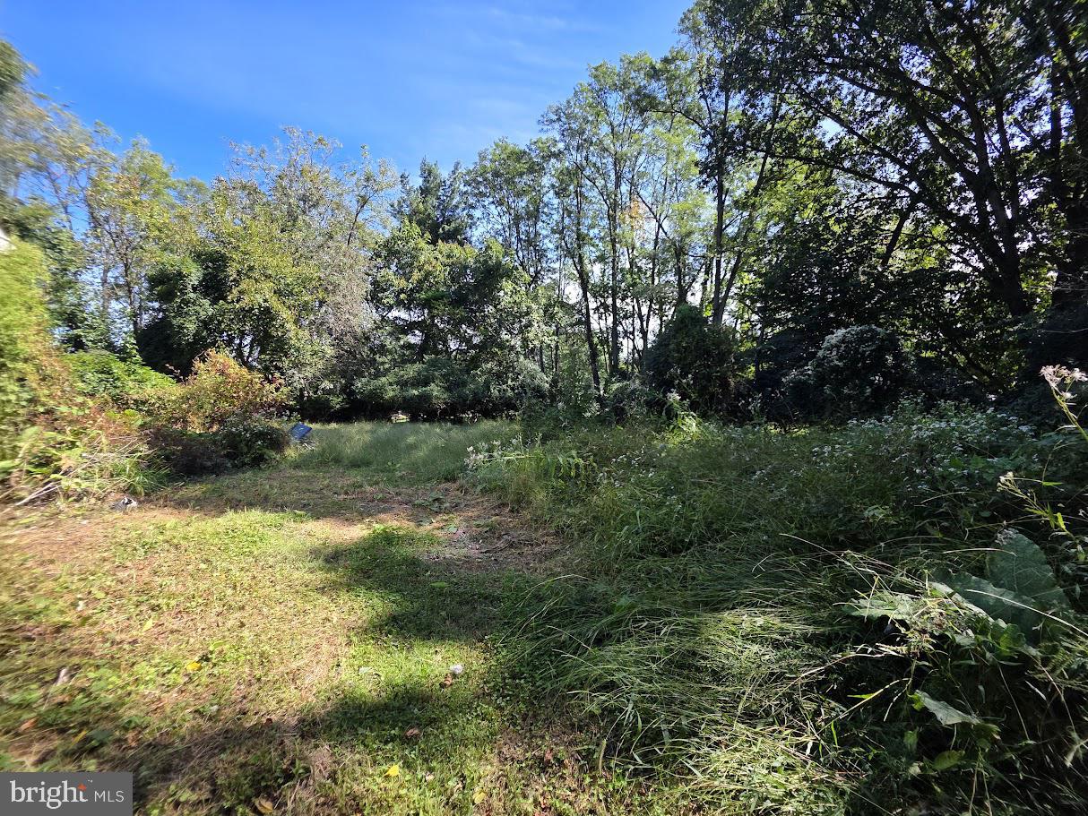 907 SPRINGWOOD DRIVE