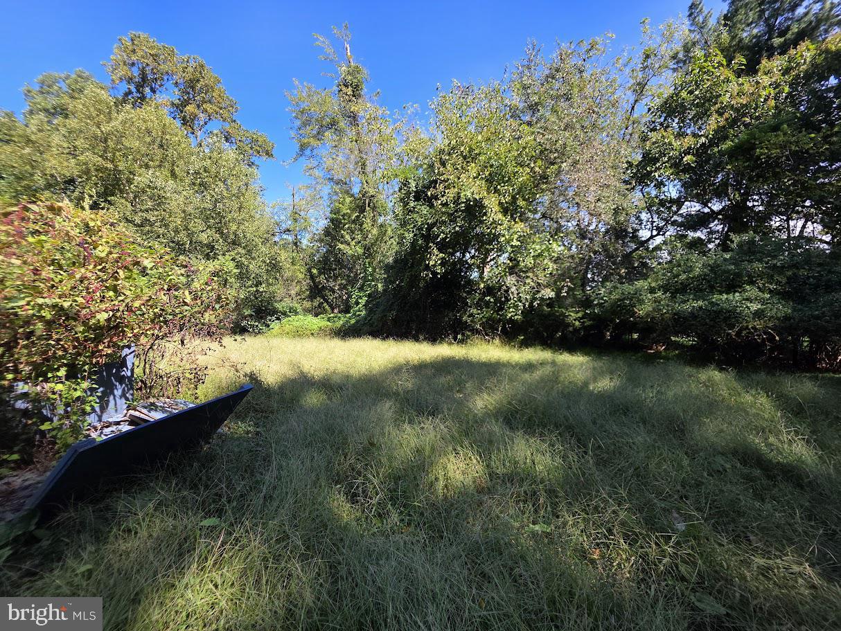 907 SPRINGWOOD DRIVE